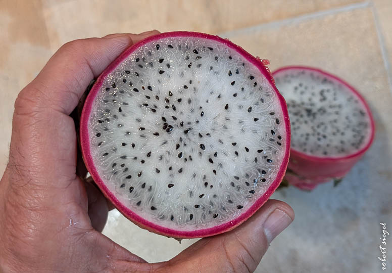 dragon fruit